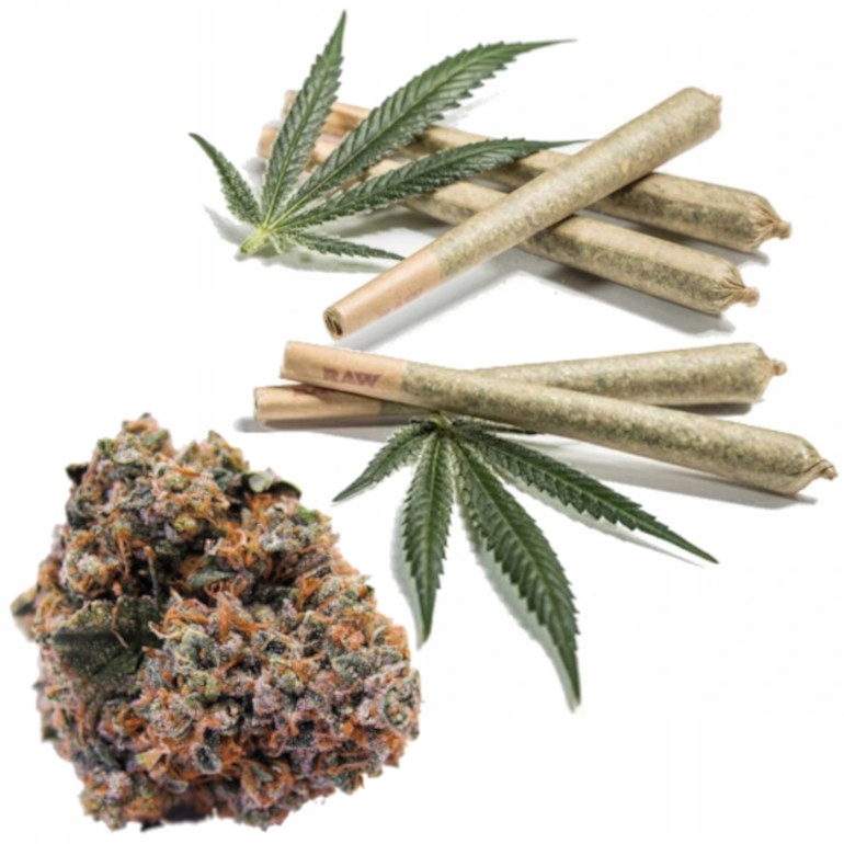 CBD - 5x Joint Strawberry Haze 45% Susz CBD Marijuana