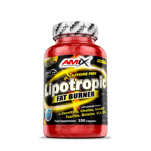 Spaľovač tuku - AMIX Lipotropický tuk Burnler 100 KAP CHOLINA BETAINA