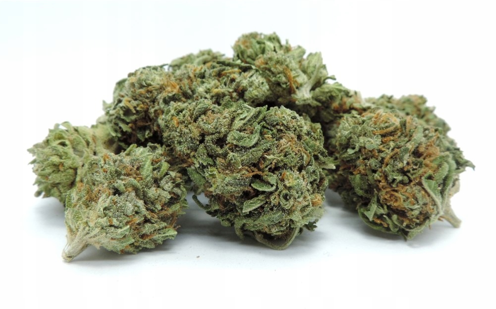 Agent 2G / 5,6% CBG
