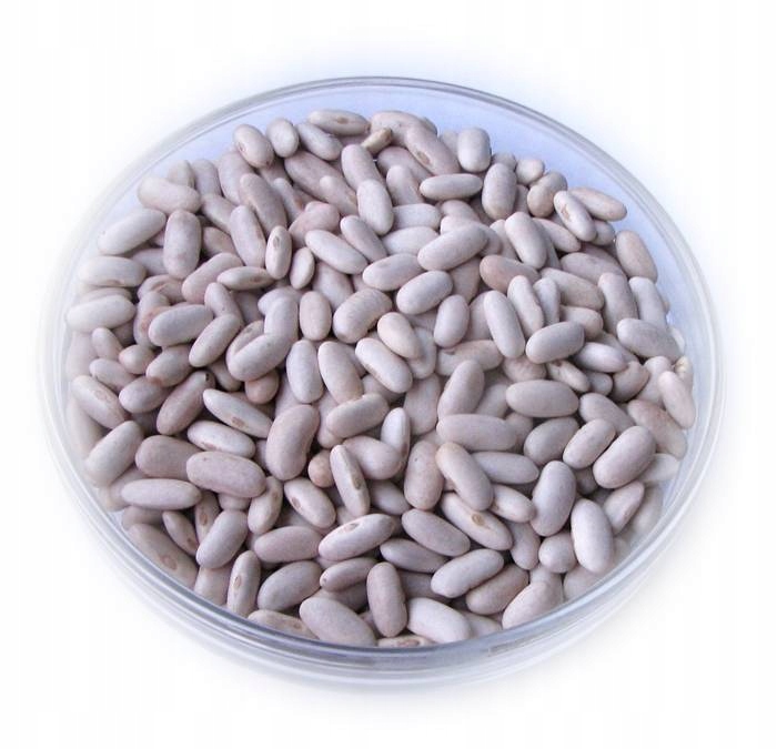 Fine Bean 5 kg