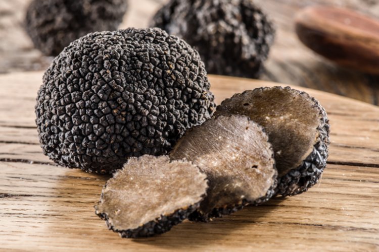 Zem Blackroáda Truffle, čierna hľuzovka