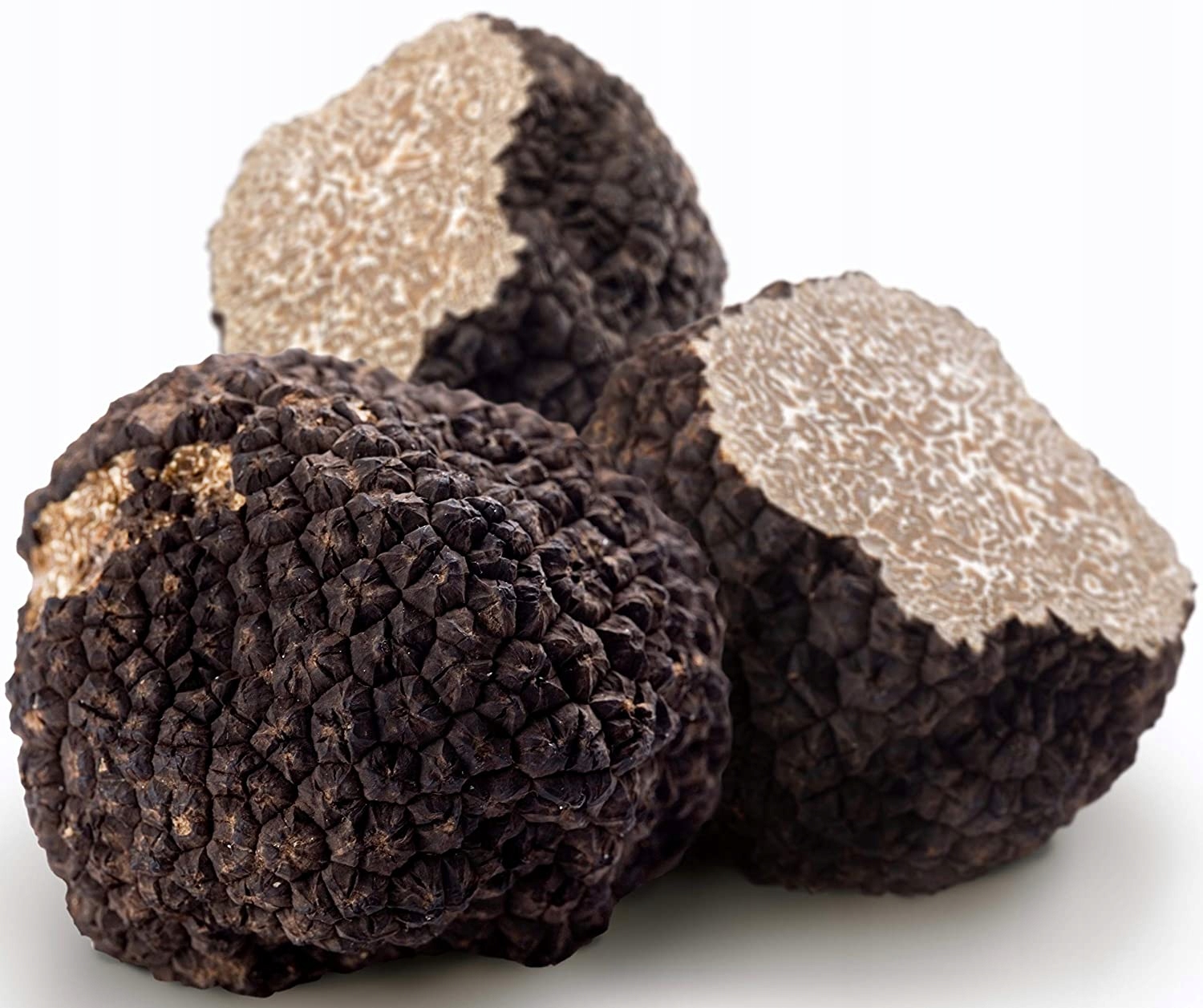 Grzybnia Letné Truffle TUBLE AESTIVUM