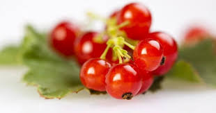 Apple - Red Currant 3L výrobca 100%