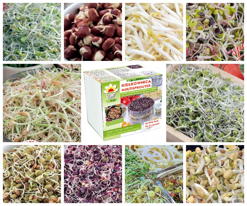 Sprinkler Seeds Kit 290g za klíčkov 10 ks.