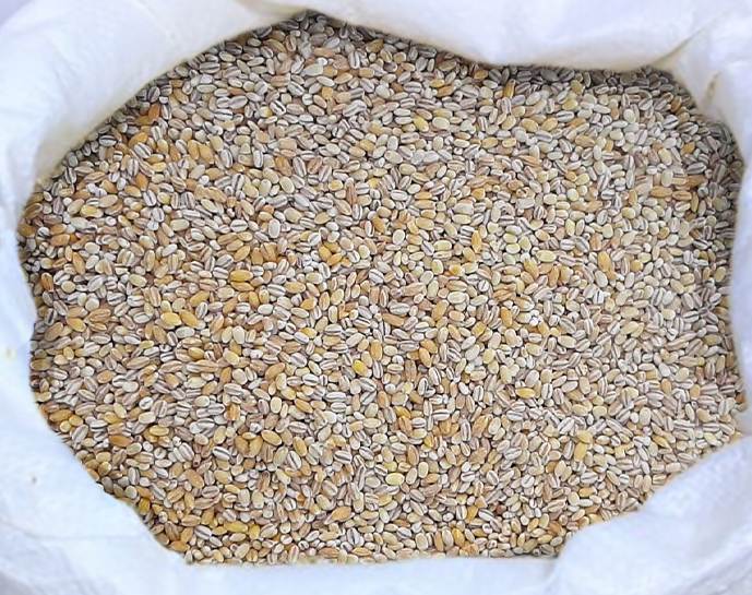 Jačmenné krúpy Jačmeň 25 kg, Poľsko vysokej kvality