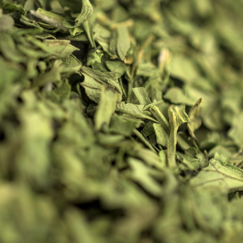 Koriander list (listy) 1kg #xxl mrkát #cilantro