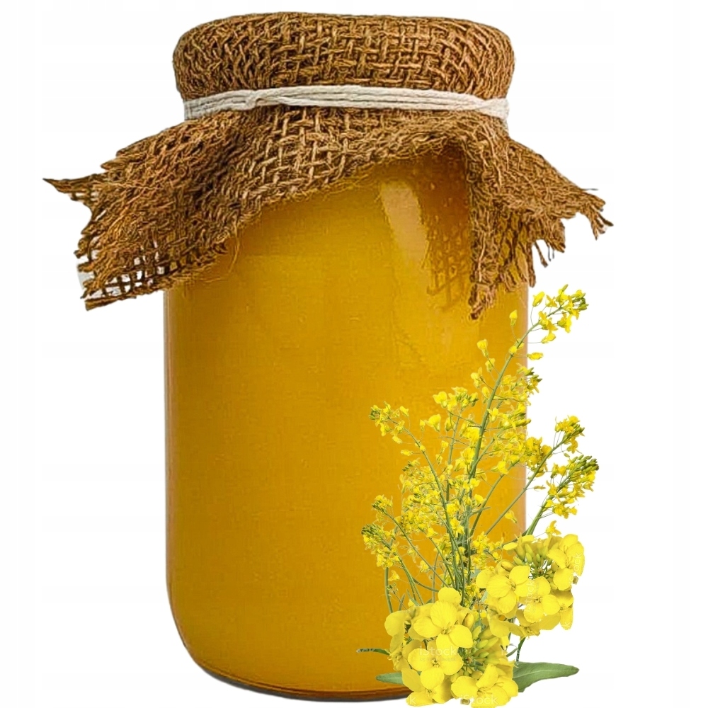 Rape Honey Fresh 2020 Pasieka Lubelska 1,25kg