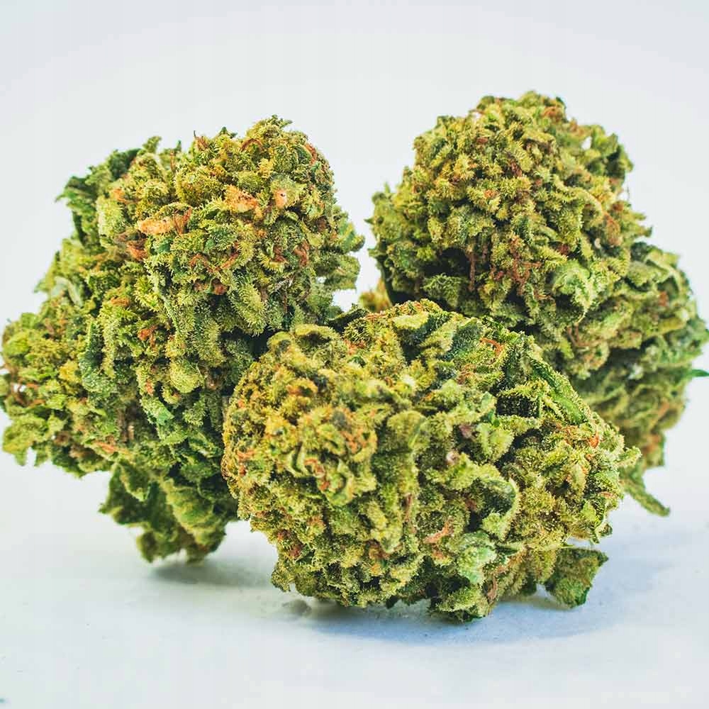 CBD - Mary Jane | 25 g Cannabis sucho CBD 12,9% Lemon Haze