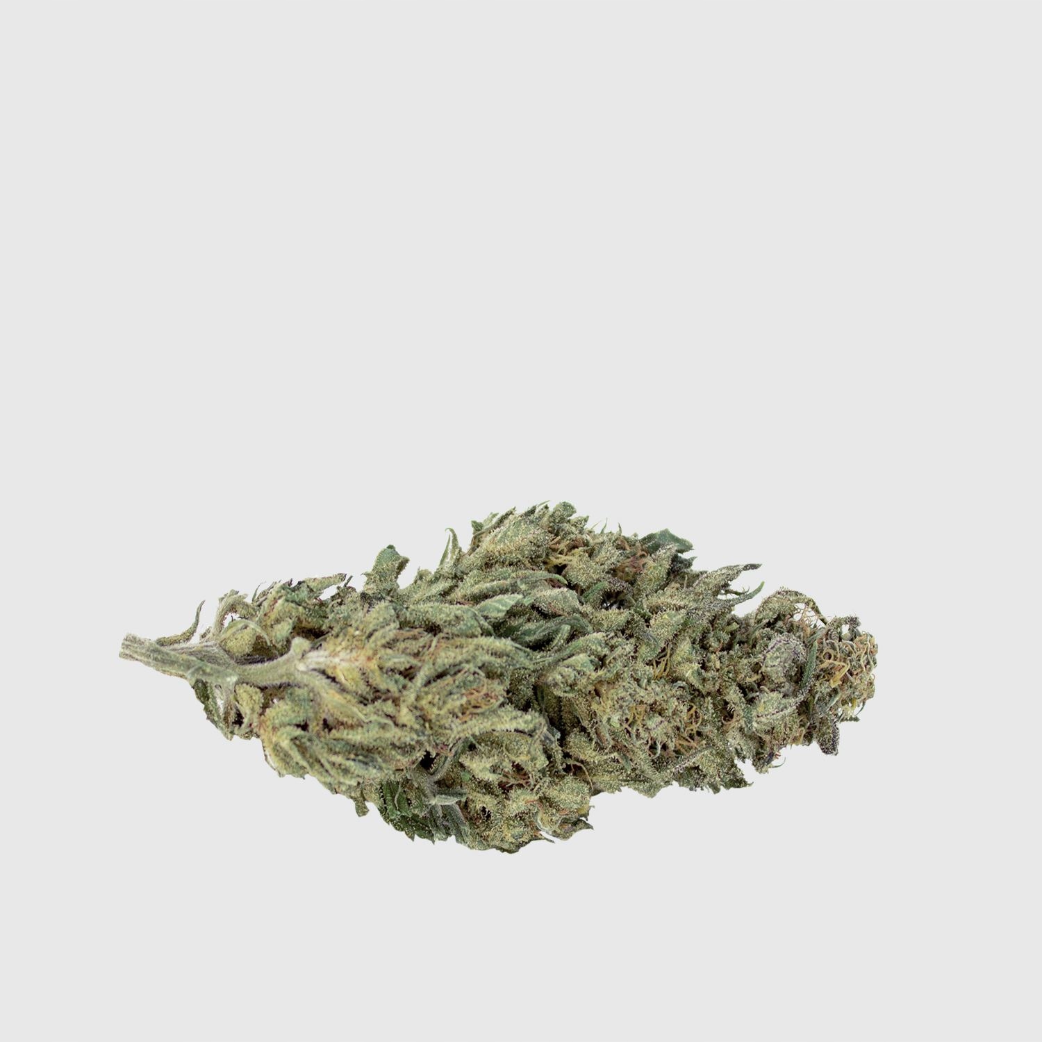 CBD - Mary Jane | 2G Cannabis sucho CBD 11,4% White Widow