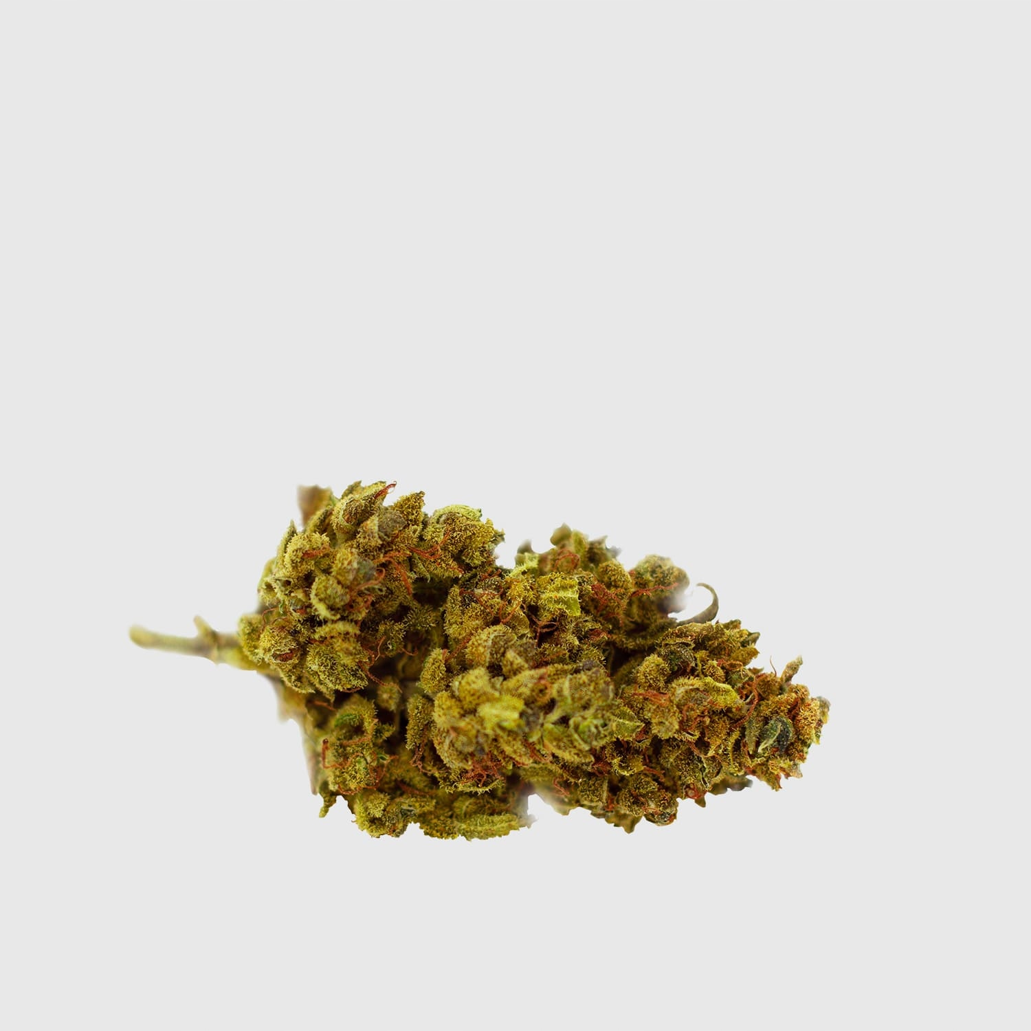 CBD - Mary Jane | 5G Cannabis Susz CBD 12% MANGO HAZE