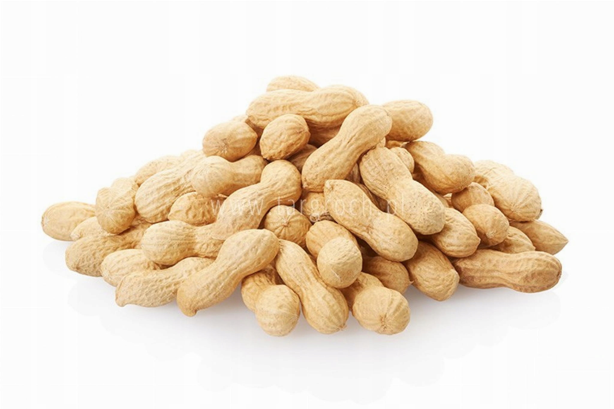 Orechy - Prírodný orech sušený v plášti 5 kg