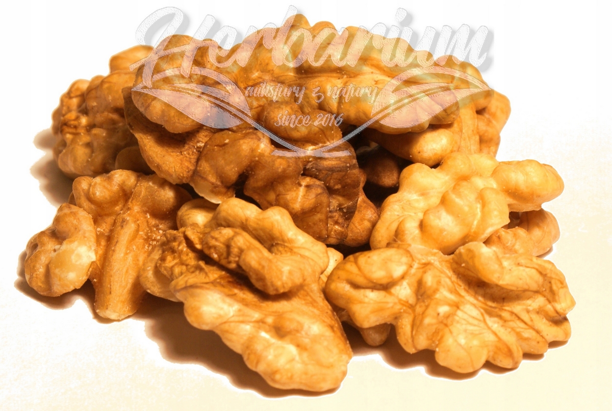 Orechy - Vlašské orechy Shelped Poľská 1kg Čerstvá kolekcia