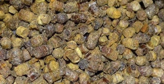 Konečná včela 500 g s Guławy posilňuje imunitu