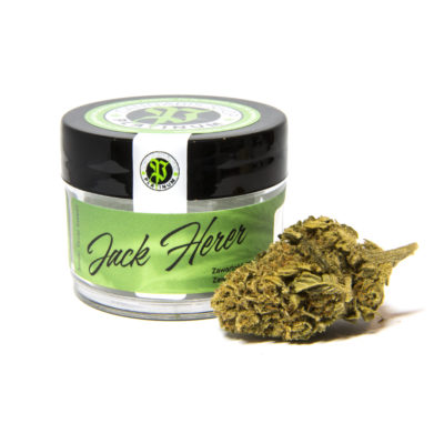 CBD - Susz CBD Jack Herer trieda 1 g Premium