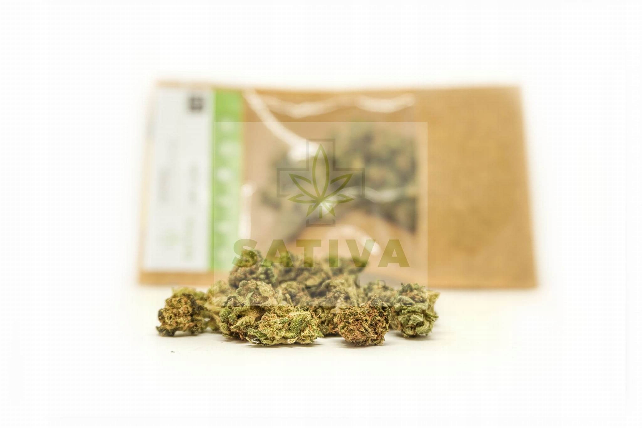 CBD - Susz CBD Sladké Amnesia 5,40% CBD 1G Sativa Poľsko