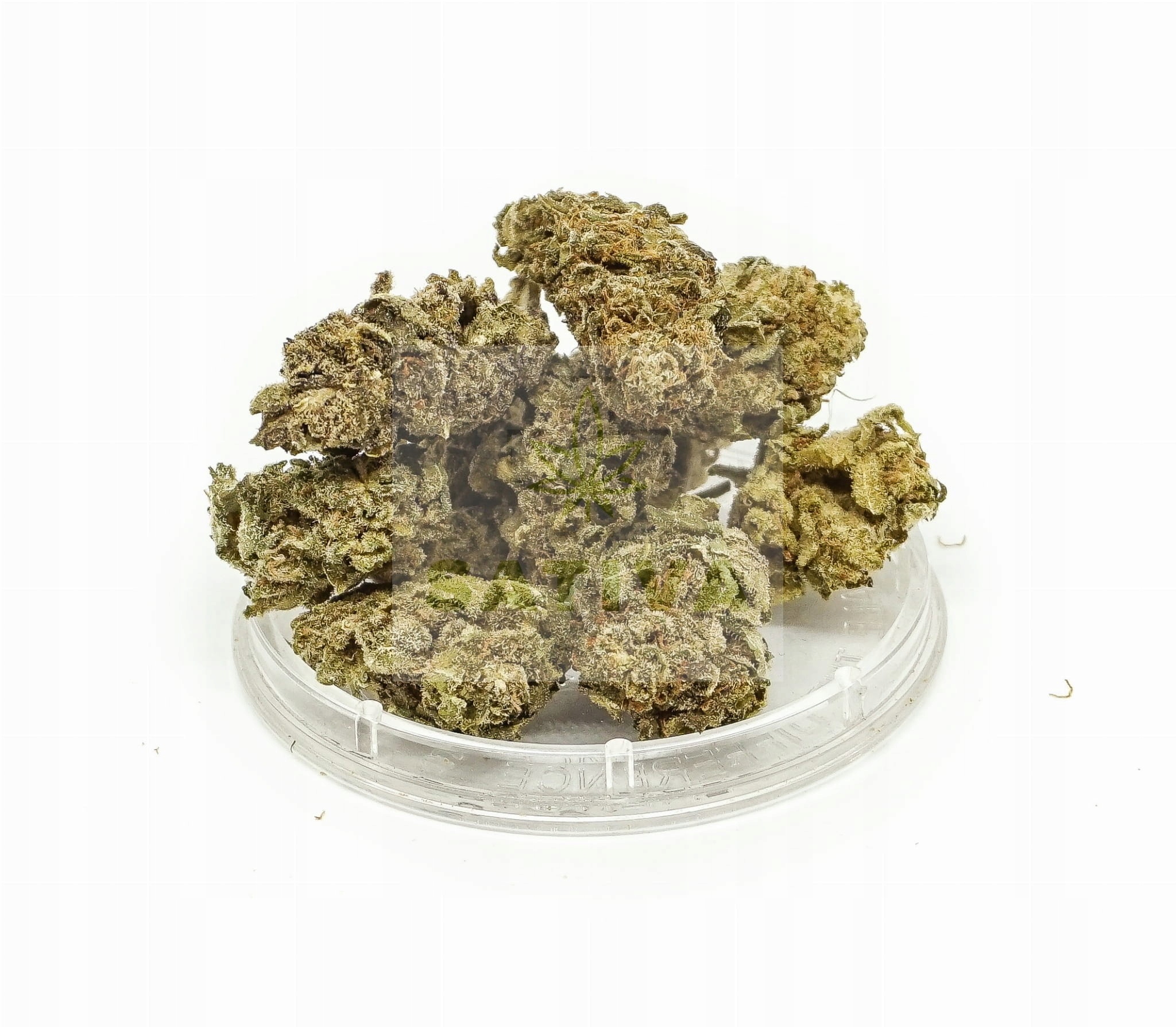 CBD - Susz CBD "Sladké Amnesia" Sativa Poľsko 4,2g