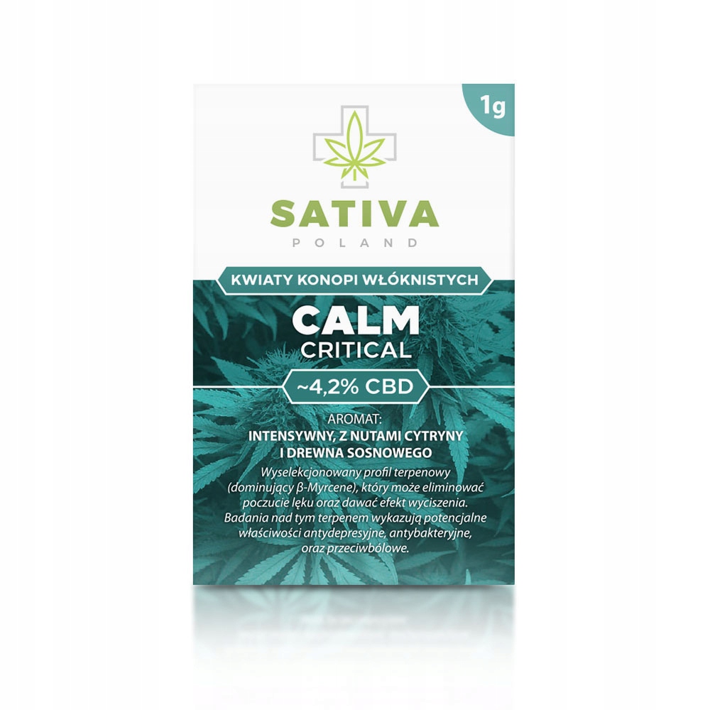 CBD - Susz KRITICKÝ ~ 4,2% CBD CALM sativa POĽSKO 1G