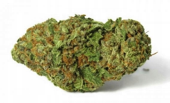 CBD - Konope sucho 12% CBD 2G Strawberry Haze Flowers CBD