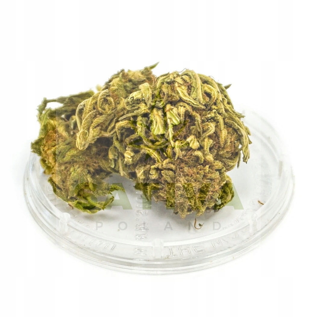 CBD - Sunny CBD "Black Buddha" - 2G