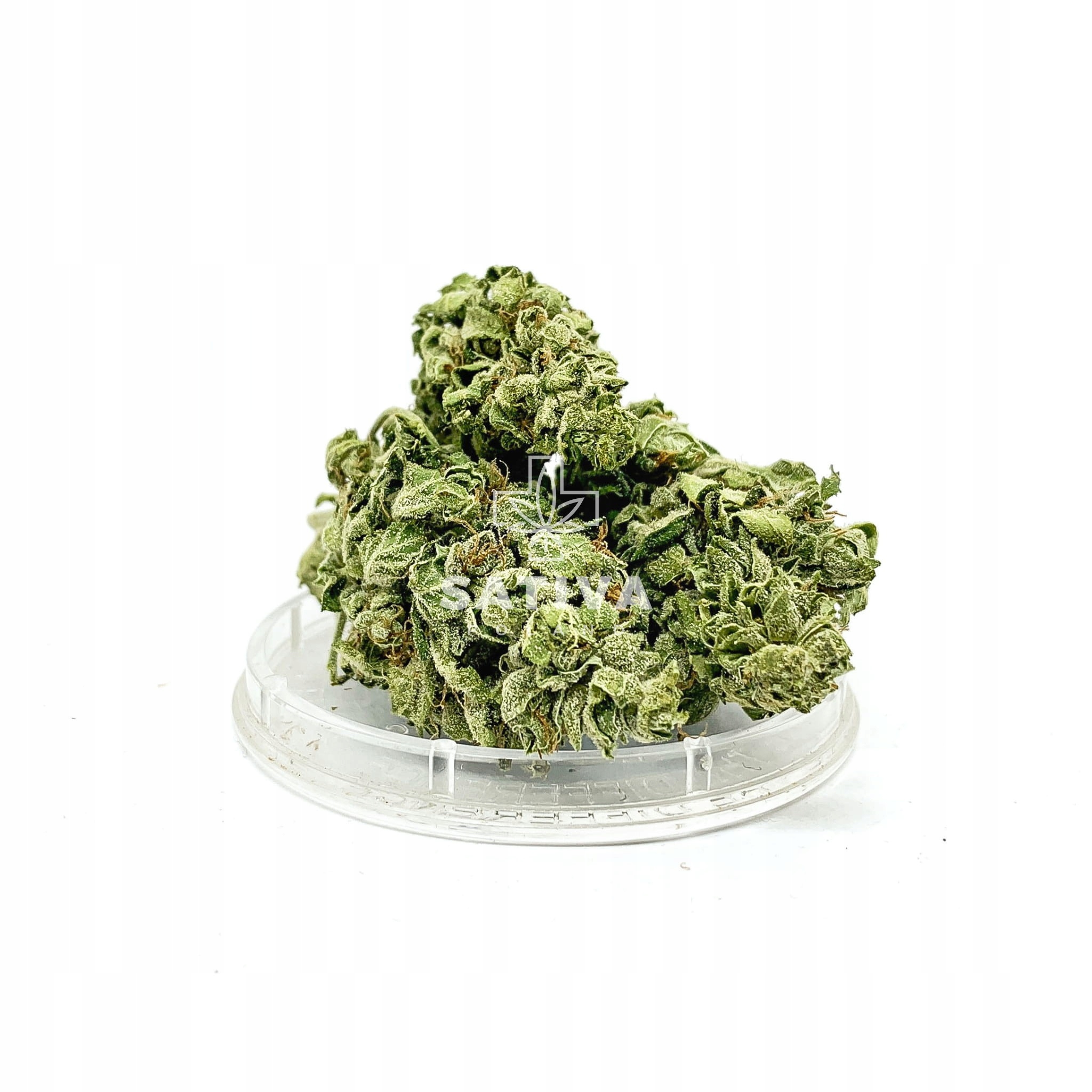 CBD - SILE CBD CBGold Sativa Poľsko 2 g 6,6%