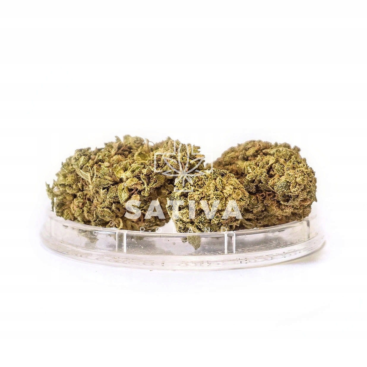 CBD - Konope Snap CBD Curring Bud Sativa Poľsko 1 g 4,1%