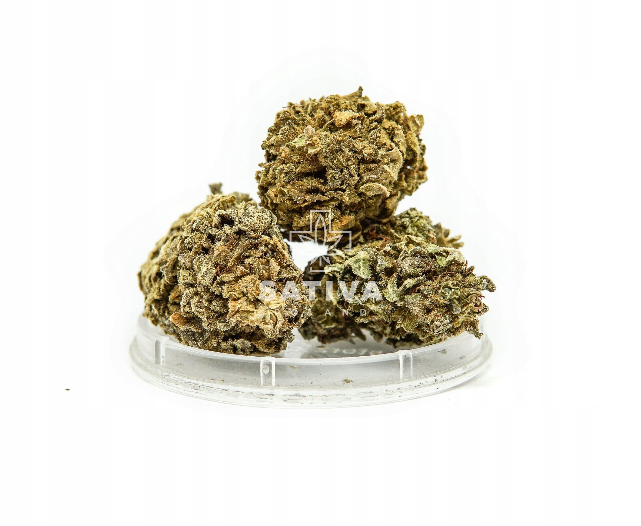 CBD - Kninka CBD Gelato Sativa Poľsko 2 g 4,7%