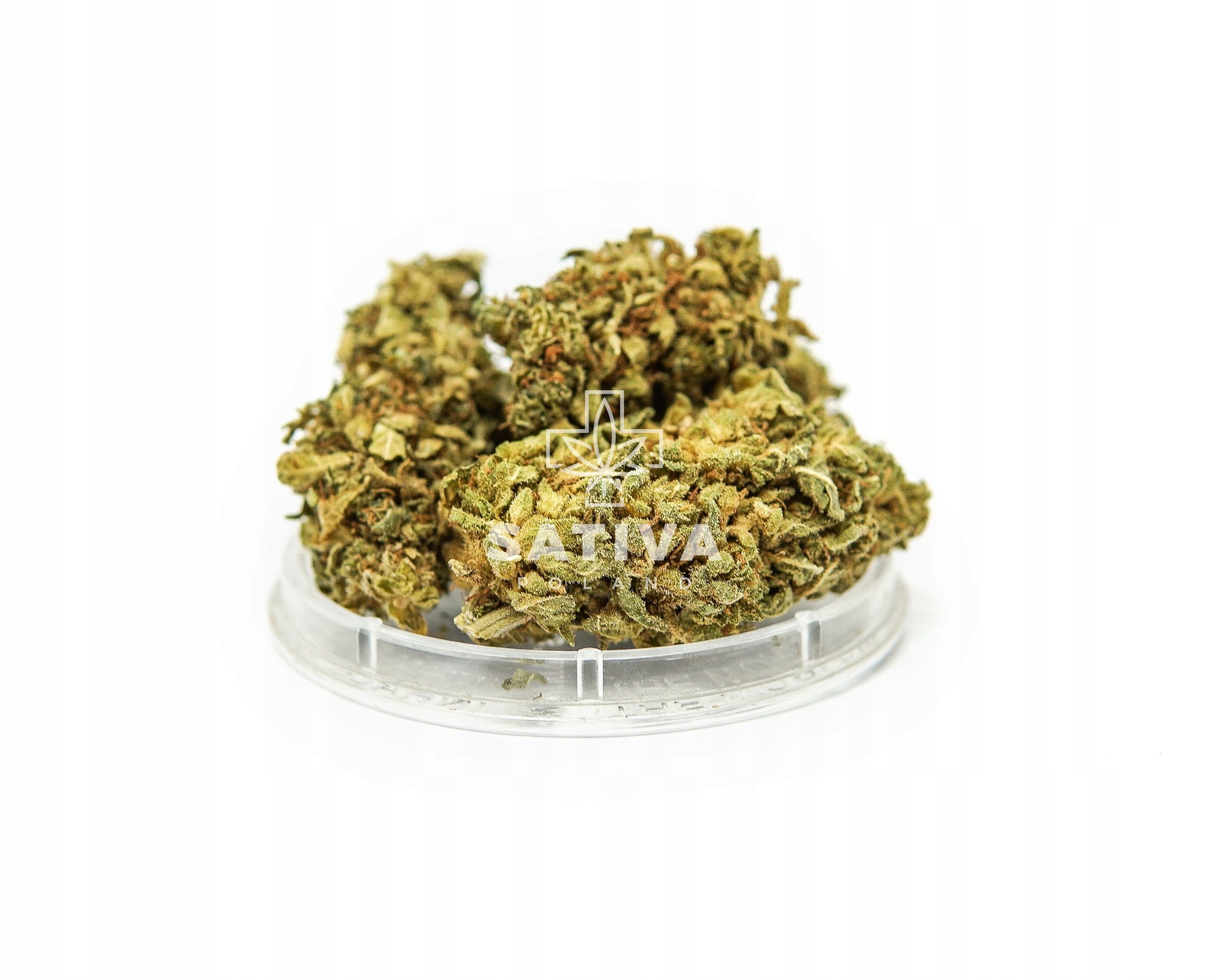CBD - Kninka CBD gorila lepidlo Sativapoland 2 g 4,7%