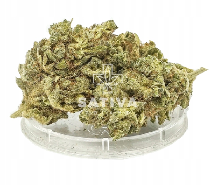 CBD - Hannepy CBD Super Lemon Haze Sativa Poľsko 1g