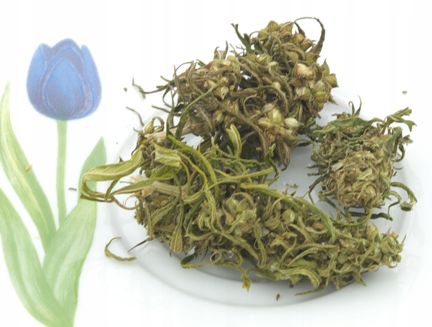 CBD - Konope vysuší, konope Carmagnola, 6% CBD, 50g