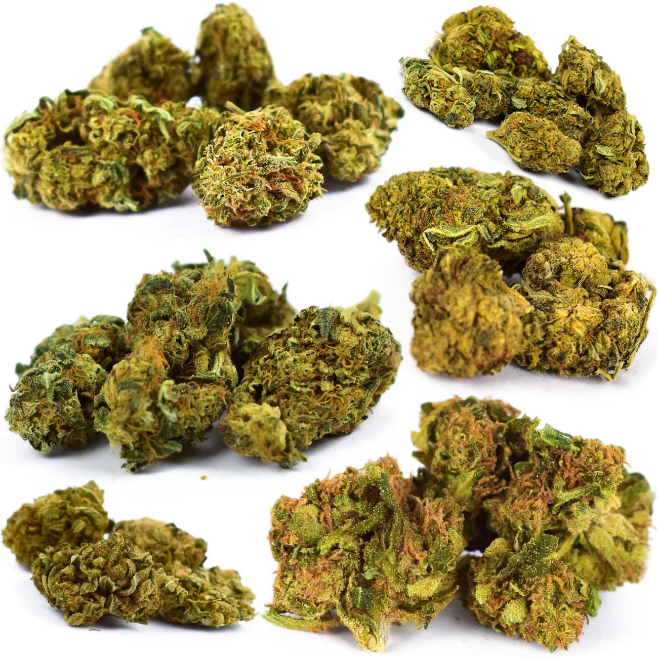 CBD - Konope Sun Mix 8 odrody 8 až 43% CBD