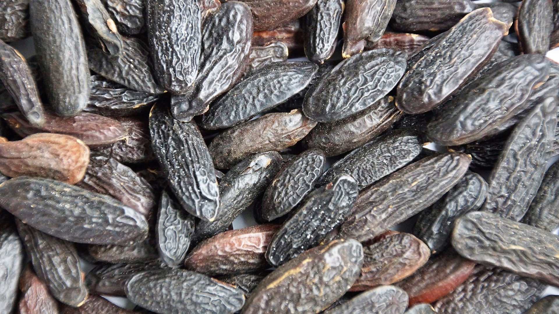 TONKA BEAN - 200G