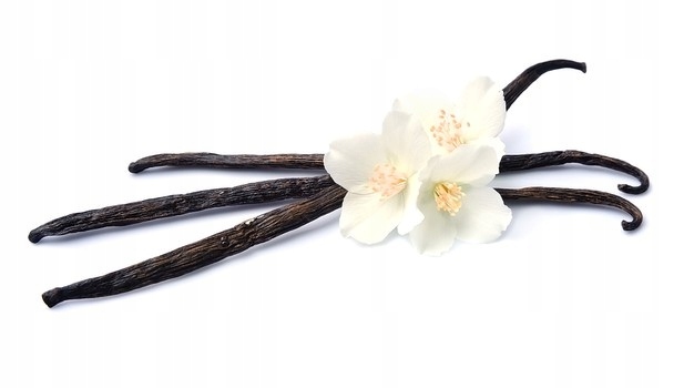 Vanilla Vanilla Chick 5ks a žáner Veľké Premium
