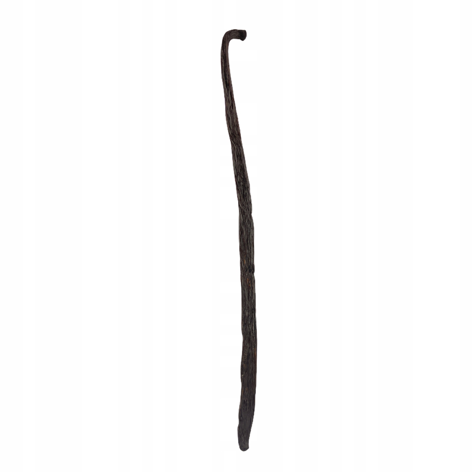 Wanilla Bourbon v Babes 14-16 cm 20 kusov