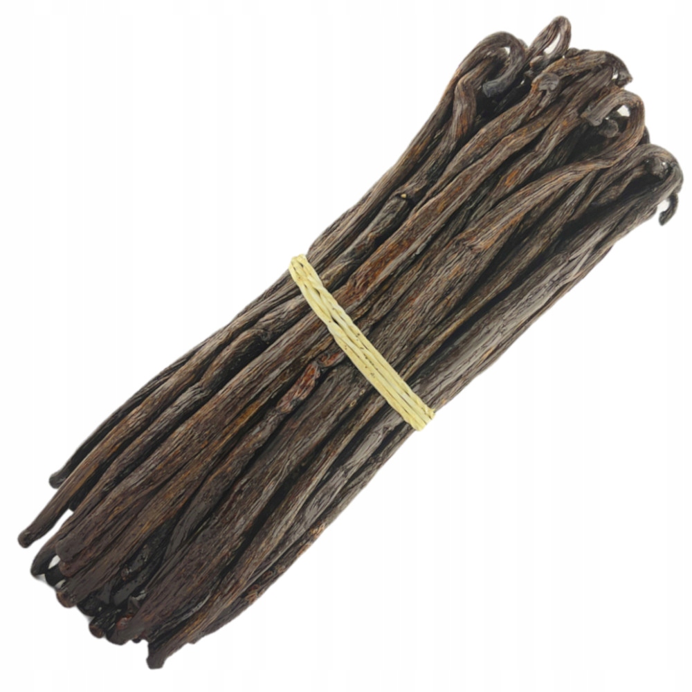 Wanilla Bourbon v Babes 16-18 cm 250g Madagaskar
