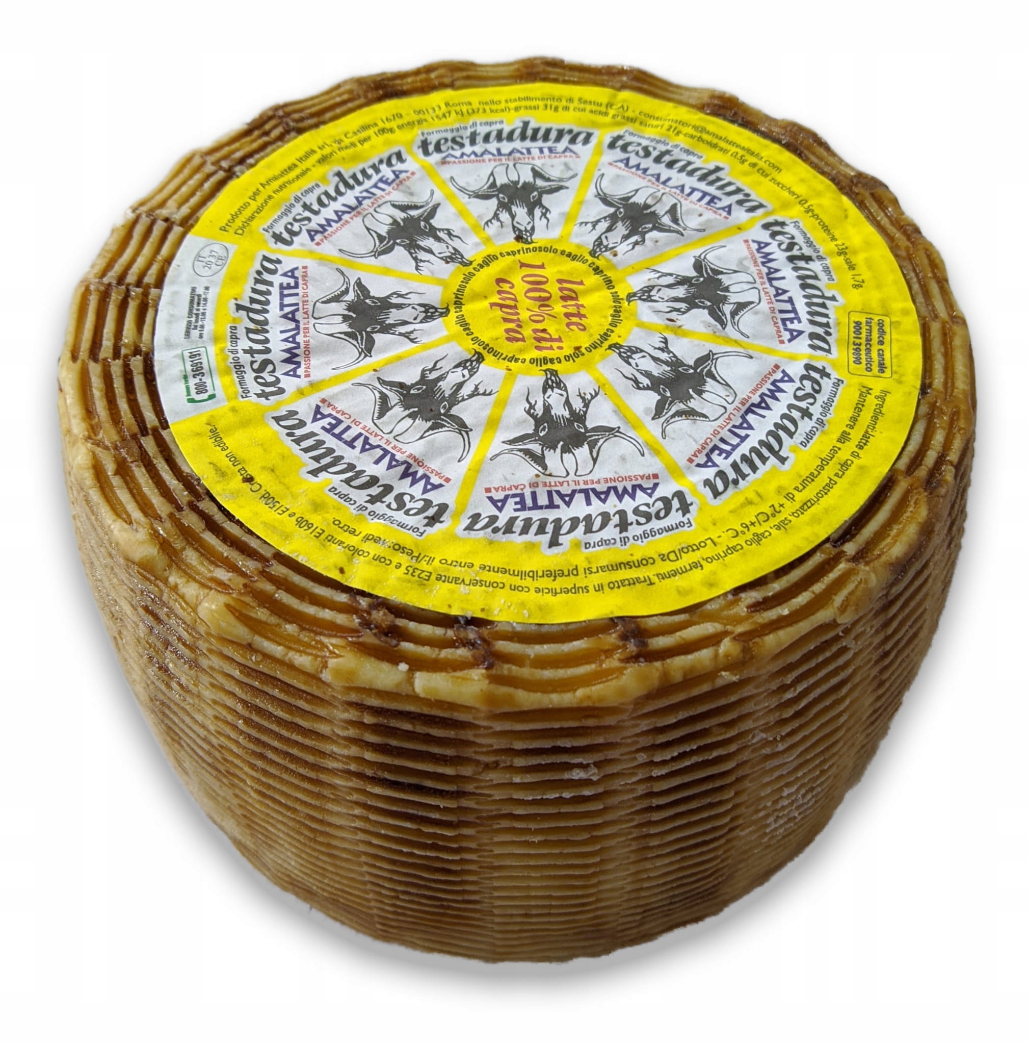 Taliansky regionálny kozový syr testadadura - 500g