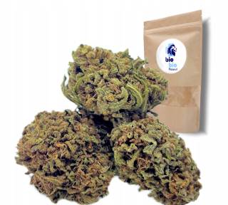 CBD - 100g Sušené konope Harley kráľovná CBD kvety