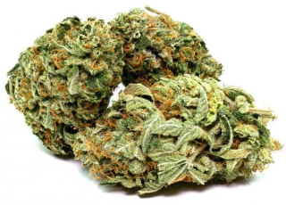 CBD - 10g Luke 48% CBD marihuana plachta Hemp Thc