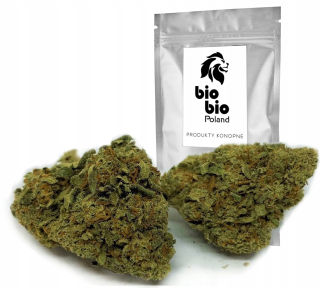 CBD - 10g Rocket Rocket Science 52% CBD Biobio
