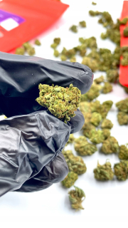 CBD - 10 g sa sušia konope amnézia zákal kvety CBD 4EASE