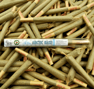 CBD - 10x Joint Hemp CBD Arctic Haze 1g