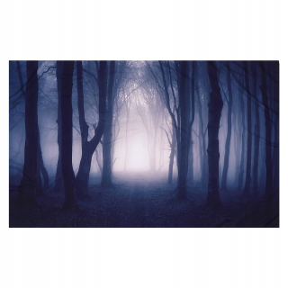 Halloween - 1pc Foggy Forest Pozadie fotografické pozadie