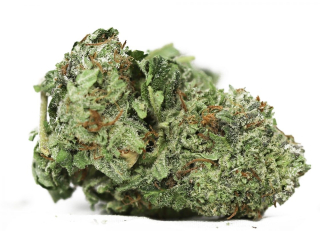 CBD - 20g AK 47 48% CBD marihuana vysuší konope THC