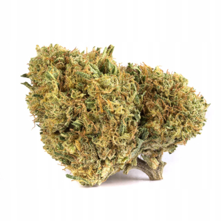 CBD - 20g Hemp Sun Bubblegum 18% CBG Susz CBD Sativa