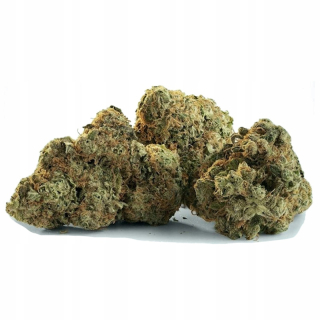 CBD - 2G Mango Haze 45% CBD plachiet konope marihuana Thc