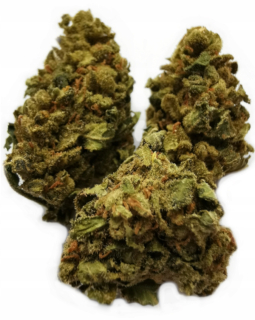 CBD - 5g Premium Premium Premium AK-47 CBD