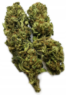 CBD - 5 g konope prémiového AMNESIA CBD