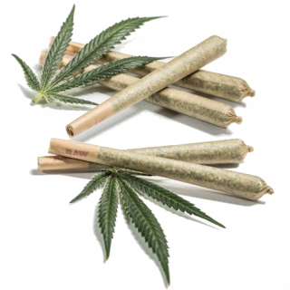 CBD - 5x Joint Lemon 12% twisted sucho CBD marihuana THC