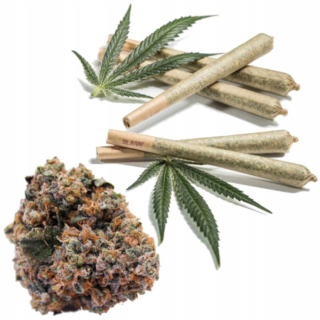 CBD - 5x Joint Strawberry Haze 45% Susz CBD Marijuana