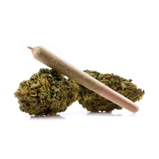CBD - 5x Pre Roll Mango Haze Twisted Joint SUSHI CBD THC