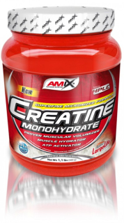 Kreatín - Amix kreatín 1000g mikronizovaný kreatín Krk